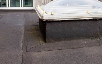 disadvantages of High Ferry flat roofs